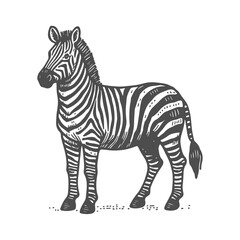 Obraz premium Hand Drawn Zebra
