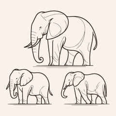 Fototapeta premium Line art illustration of elephant with different pose 5136788