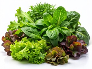 Fresh Green Salad Leaves Variety Isolated on White Background - Stock Photo