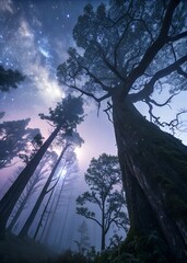 Guardians of the Night: Mystical Trees of Colinas de Shiroyama Under a Moonlit Sky