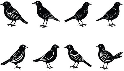 Fototapeta premium Bird vector shilhouette bundle set icon
