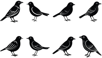 Bird vector shilhouette bundle set icon