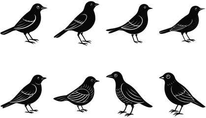 Bird vector shilhouette bundle set icon