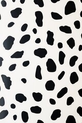 Fototapeta premium A close up of a cow with a black and white pattern. The cow has a unique and interesting appearance, with its spots creating a striking contrast against the white background