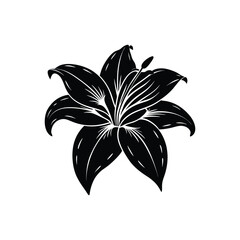 Obraz premium lily flower vector illustration on white background 