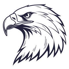eagle head vector illustration