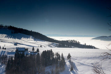 Naklejka premium Sunny and Icy Winter Wonderland