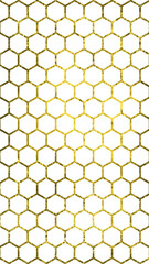 Gold Hexagon Pattern. Hexagon mesh, gold shine color with alpha channel, vertical resolution.

