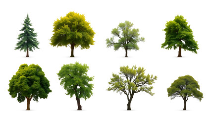 a collection of diverse trees, each with unique shapes and sizes, showcasing the variety of nature