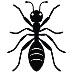 vector illustration of an ant  on white
