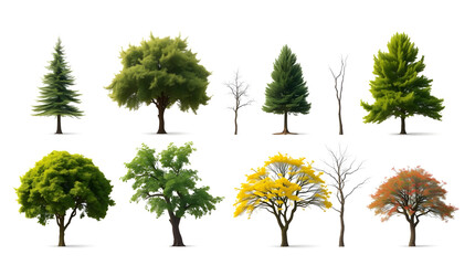 an assortment of trees isolated on a seamless background, showcasing various shapes and seasonal appearances.