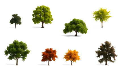 Fototapeta premium a collection of vibrant trees showcasing the diverse beauty of nature, each with unique foliage and form