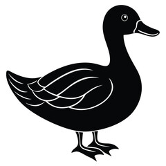 duck on white background