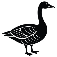 goose isolated on white background