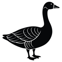 goose isolated on white background