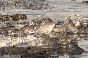 夕日に輝く山中湖の寄せ氷