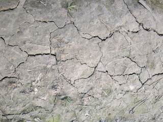 cracked earth texture and Cracked Earth in all county