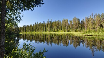 Obraz premium Dalarna-1