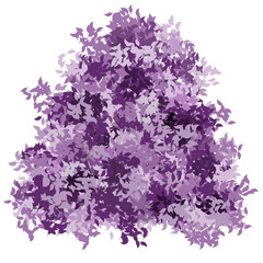 Naklejka premium Cute Purple Bush: Cheerful Cartoon Illustration of a Shrub with Rich Purple Leaves, Standing Out Against a Pure White Background, The cartoon style makes it perfect for children's books or educational