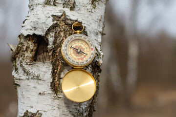 Naklejka premium Compass hanging on birch tree. Navigation tool for outdoor adventure and travel direction.