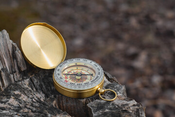 A gold compass is placed on a tree stump, showcasing a navigation tool and outdoor adventure.