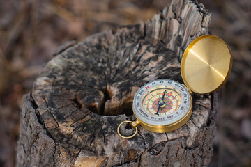 A gold compass is placed on a tree stump, showcasing a navigation tool and outdoor adventure.
