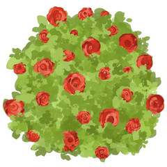 Fototapeta premium Delightful Valentine's Bush: A Cartoonish Depiction of Green Leaves and Red Flowers on a White Canvas, Perfect for Expressing Romantic Sentiments