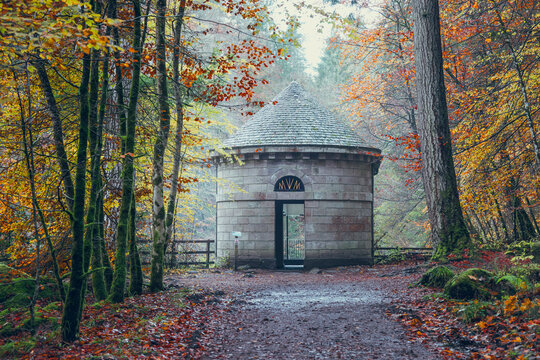 Autumn Serenity at Ossian's Hall, The Hermitage: Moss-Covered Trees and Golden Leaves Frame This Historic Landmark Near Dunkeld, Perthshire, Scotland