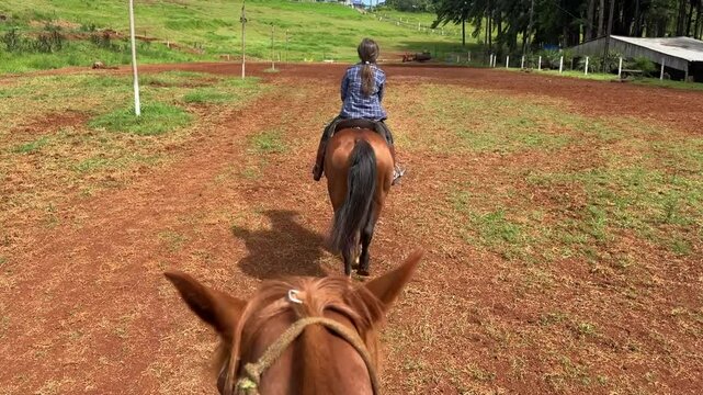 menina faz passeio com cavalo 