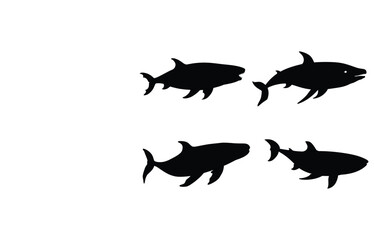 Obraz premium Blue whale