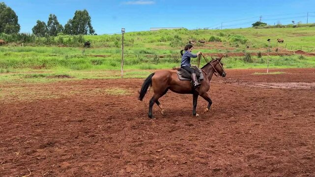 menina faz passeio com cavalo 