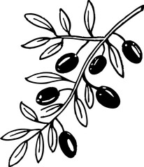 Olive branch illustration with leaves and olives, symbolizing peace and abundance