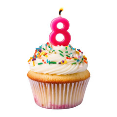 birthday cupcake with candle