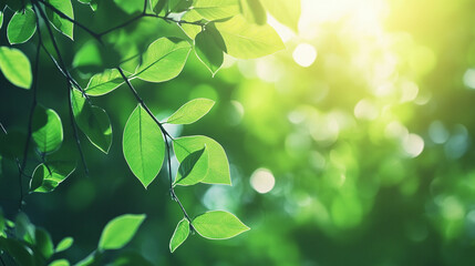 Vibrant green leaves sunlight nature photography background image tree lush view park plant fresh