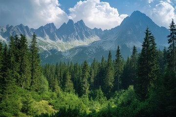 Fototapeta premium Young explorers hiking vibrant woodland trails towards breathtaking high tatras peak adventure