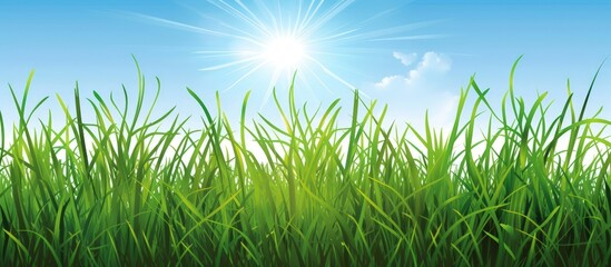 Fototapeta premium Beautiful sun and green grass natural background. AI generated image