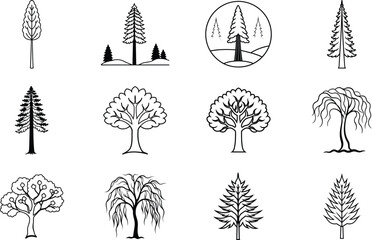 Simple Line Drawings of Various Trees Conifers, Deciduous, and Landscapes