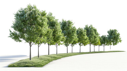 Row of green trees framing a winding path with transparent background