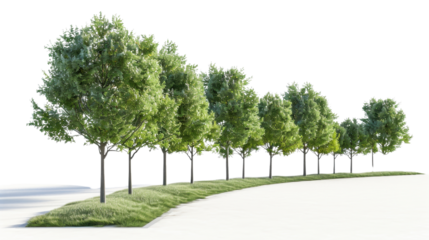 Row of green trees framing a winding path with transparent background