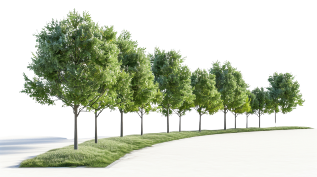 Row of green trees framing a winding path with transparent background