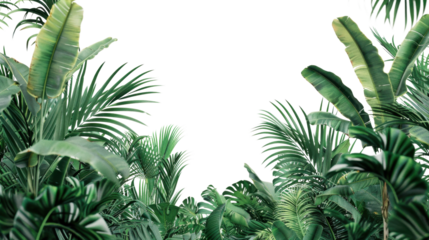 Tropical plants creating green frame on transparent background