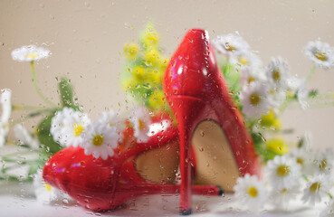 stiletto heels and daisies behind wet glass with water drops
