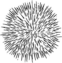 Obraz premium Fruit. Hand drawn vector isolated engraved sketch. Rambutan 