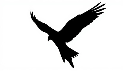 Obraz premium Falcon diving in powerful silhouette against white background, focus