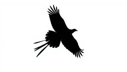 Fototapeta premium Solitary pheasant soaring upwards against white background, freedom