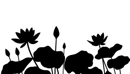 Obraz premium Blossoming lotus flowers in serene silhouette on white background, tranquility