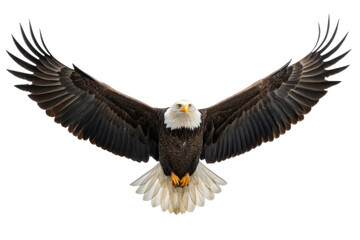 Fototapeta premium Majestic eagle soaring through the sky with spread wings during daylight hours showcasing nature's beauty and power, cut out