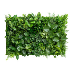 Obraz premium Lush green foliage, vibrant artificial plants creating a serene backdrop, ideal for interior decor and nature themes. Isolated on white background or PNG