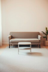  Art photograph minimalist or elegant sofa 