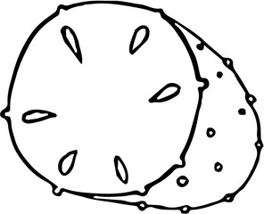 Fruit. Hand drawn vector isolated sketch. Prickly  